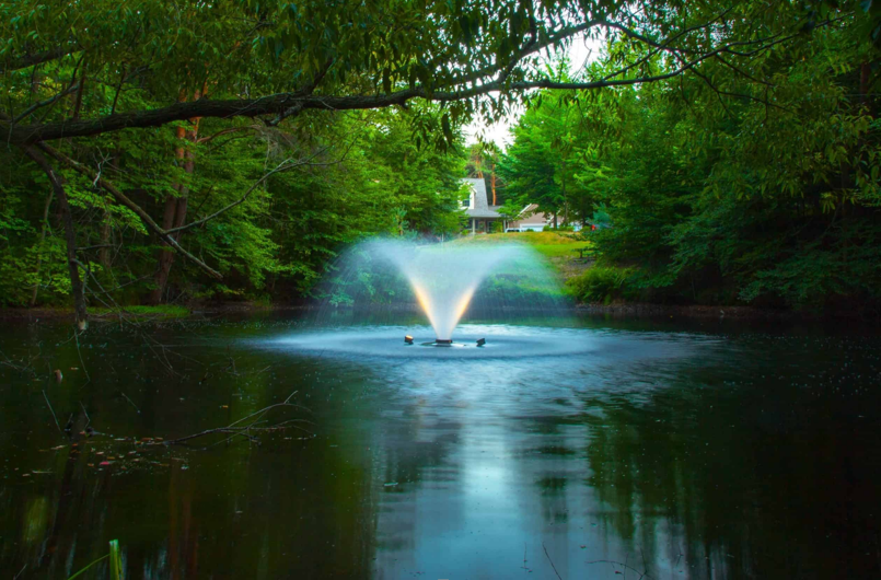 Why Pump Quality Determines the Success of a Large Pond Fountain